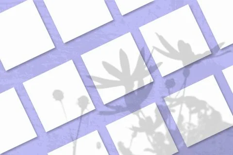 Natural light casts shadows from a Jerusalem artichoke flowers on several squ Stock Illustration