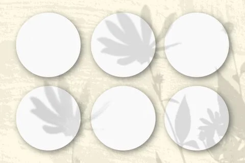 Natural light casts shadows from a Jerusalem artichoke flowers on 6 round she Stock Illustration