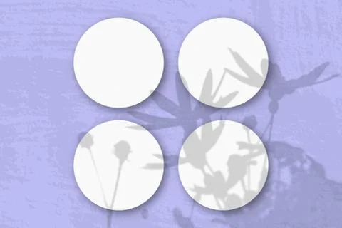 Natural light casts shadows from a Jerusalem artichoke flowers on 4 round she Stock Illustration