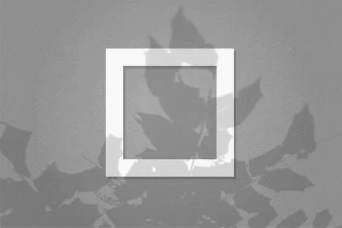 Natural light casts shadows from the leaves of a tree branch on square frame of Stock Illustration