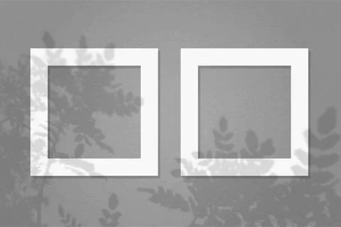 Natural light casts shadows from the leaves of a tree on 2 square frames of Stock Illustration