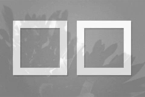 Natural light casts shadows from the leaves of a tree on 2 square frames of Stock Illustration
