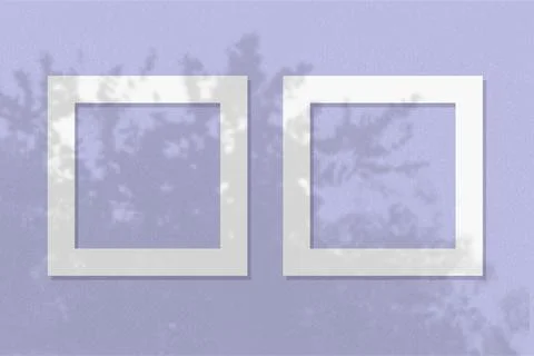 Natural light casts shadows from the leaves of a tree on 2 square frames of Stock Illustration