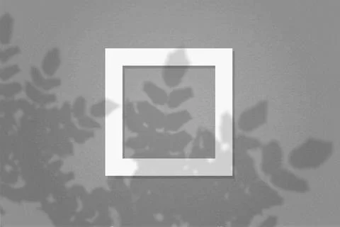 Natural light casts shadows from the leaves of a tree branch on square frame of Stock Illustration