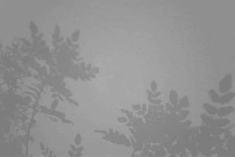 Natural light casts shadows from a leaves branches of tropical plants. Top view Illustrazione stock