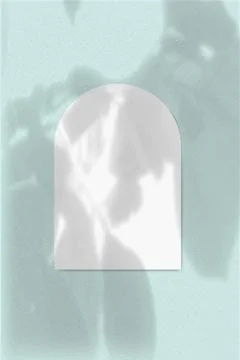 Natural light casts shadows from leaves flower on An arch-shaped sheet of white Illustrazione stock