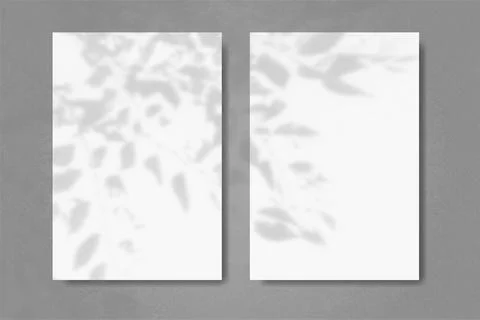 Natural light casts shadows from the leaves of a tree branch on 2 vertical Stock Illustration