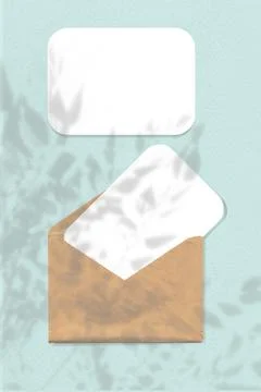 Natural light casts shadows from the leaves of a tree branch on an envelope with Stock Illustration