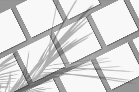 Natural light casts shadows from the palm branch on several square sheets of Stock Illustration