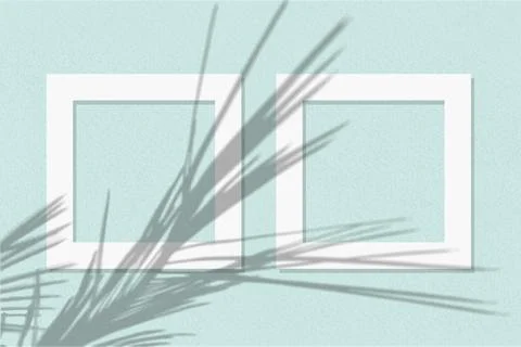 Natural light casts shadows from the palm branch on 2 square frames of white Stock Illustration