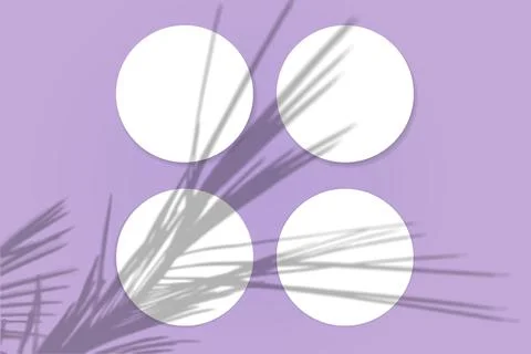Natural light casts shadows from the palm branch on 4 round sheets of white Stock Illustration