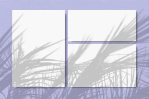 Natural light casts shadows from the palm on 2 square sheets of white textured Stock Illustration