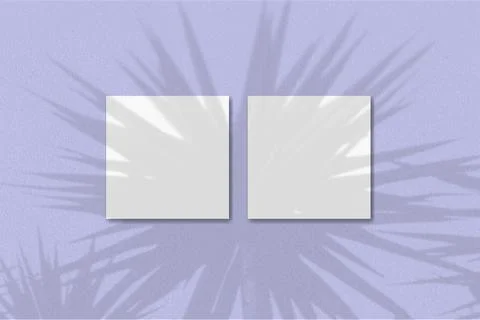 Natural light casts shadows from the palm on 2 square sheets of white textured Stock Illustration