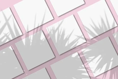 Natural light casts shadows from the palm tree on several square sheets of white 스톡 일러스트