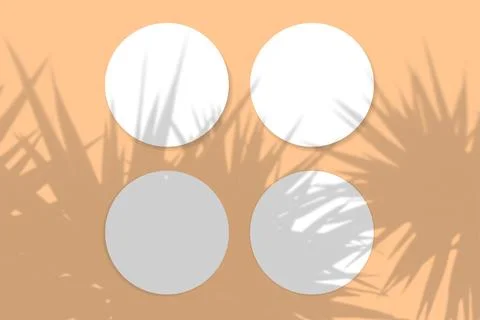 Natural light casts shadows from the palm tree on 4 round sheets of white Stock Illustration