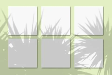 Natural light casts shadows from the palm tree on 6 square sheets of white Stock Illustration