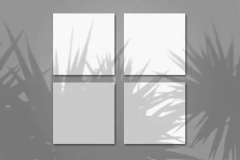 Natural light casts shadows from the palm tree on 4 square sheets of white Stock Illustration