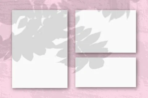 Natural light casts shadows from a Rowan branch on several square sheets of w Illustrazione stock