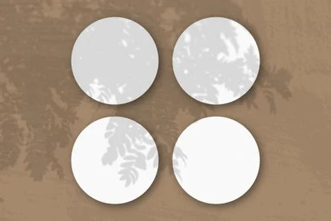 Natural light casts shadows from a Rowan branch on 4 round sheets of white te Stock Illustration