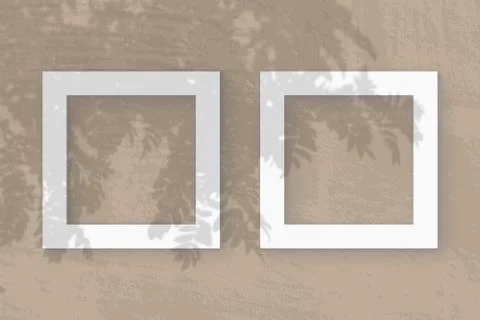 Natural light casts shadows from a Rowan branch on 2 square frames of white t Stock Illustration