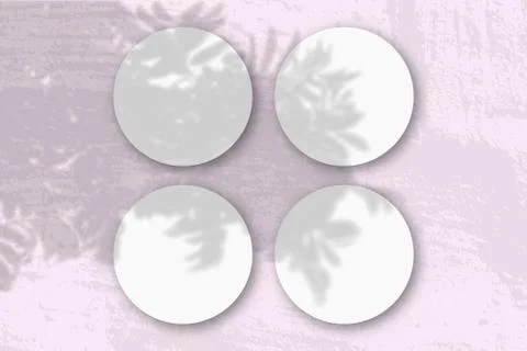 Natural light casts shadows from a Rowan branch on 4 round sheets of white te Stock Photos