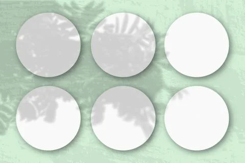 Natural light casts shadows from a Rowan branch on 6 round sheets of white te Stock Photos