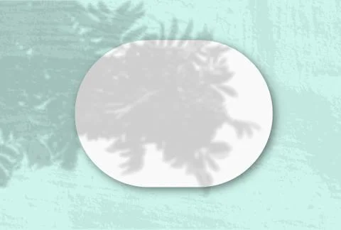 Natural light casts shadows from Rowan branch on A horizontal oval sheet of w Stock Photos
