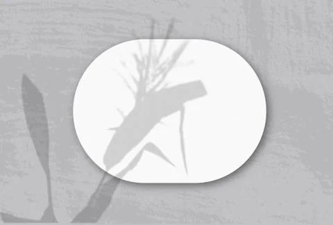 Natural light casts shadows from Spikelets and leaves of the plant on A horiz Stock Illustration