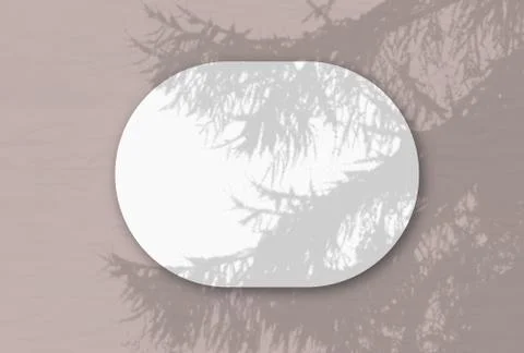 Natural light casts shadows from Spruce branch on A horizontal oval sheet of  Stock Illustration
