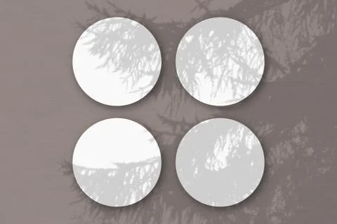 Natural light casts shadows from a Spruce branch on 4 round sheets of white t Stock Illustration