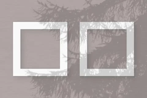 Natural light casts shadows from a Spruce branch on 2 square frames of white  Stock Photos