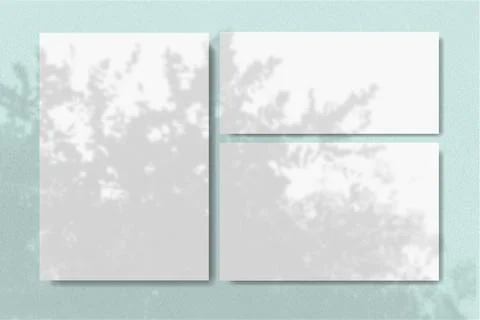 Natural light casts shadows from the tree on 2 square sheets of white textured Stock Illustration