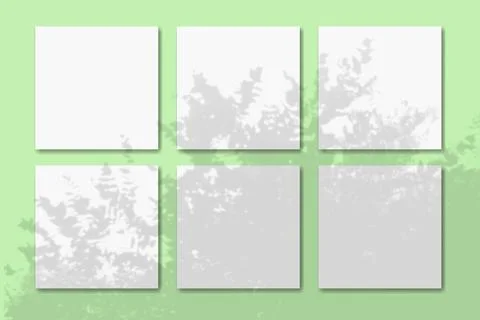 Natural light casts shadows from the tropic plant on 6 square sheets of white Stock Illustration