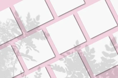 Natural light casts shadows from the tropical plant on several square sheets of Stock Illustration