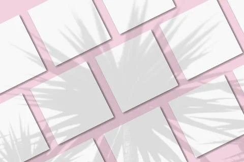 Natural light casts shadows from the tropical palm on several square sheets of Stock Illustration