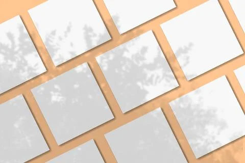 Natural light casts shadows from a tropical tree on several square sheets of Stock Illustration