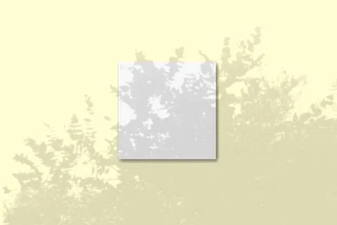 Natural light casts shadows from the tropical tree one square sheets of white Stock Illustration