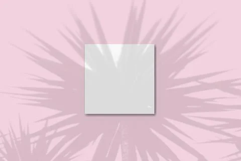 Natural light casts shadows from the tropical palm tree one square sheets of Stock Illustration