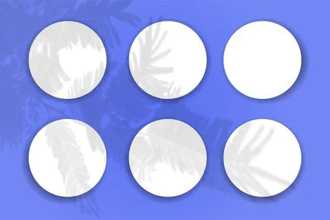 Natural light casts shadows from the tui branch on 6 round sheets of white paper Stock Illustration