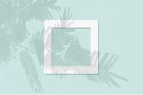 Natural light casts shadows from the tui branch on square frames of white paper Stock Illustration