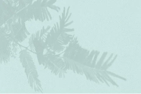 Natural light casts shadows from tui branch on a textured blue background. Mock Stock-Illustration