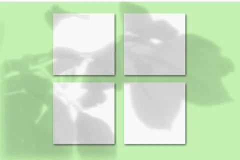 Natural light casts shadows from a twig with flower leaves on 4 square sheets of Stock Illustration