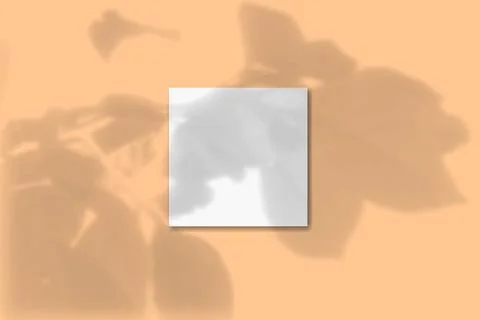 Natural light casts shadows from a twig with flower leaves on 1 square sheets of Stock-Illustration