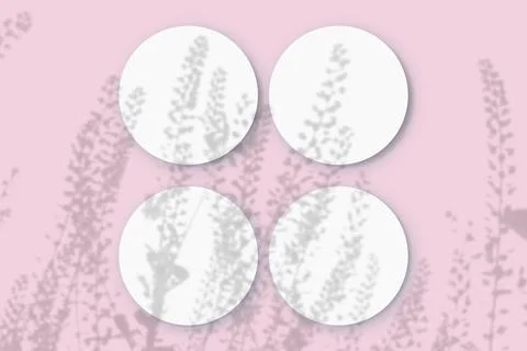 Natural light casts shadows from wild grasses on 4 round sheets of white Stock Illustration