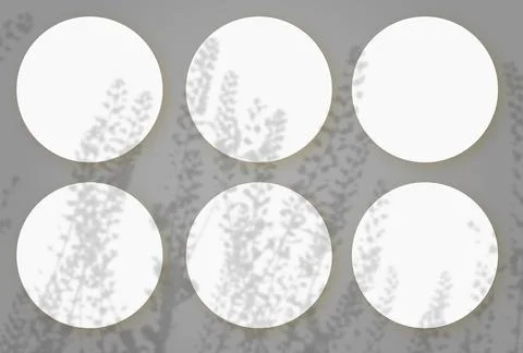 Natural light casts shadows from wild grasses on 6 round sheets of white Illustrazione stock