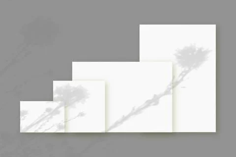 Natural light casts shadows from wildflowers on several sheets of white paper Illustrazione stock