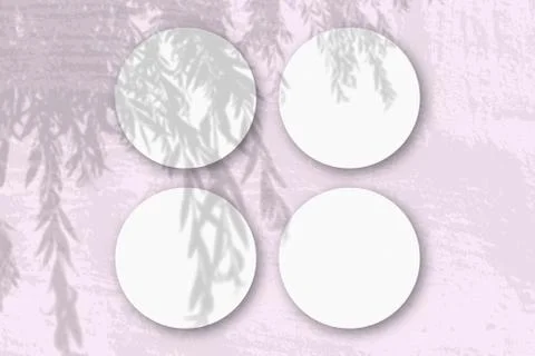 Natural light casts shadows from an willow branch on 4 round sheets of white  Stock Illustration