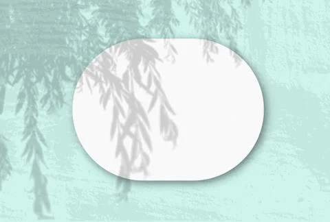 Natural light casts shadows from willow branch on A horizontal oval sheet of  Stock Illustration