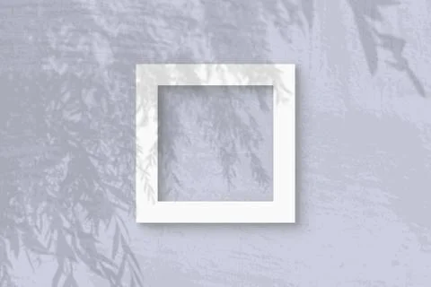 Natural light casts shadows from an willow branch on square frame of white te Stock Illustration