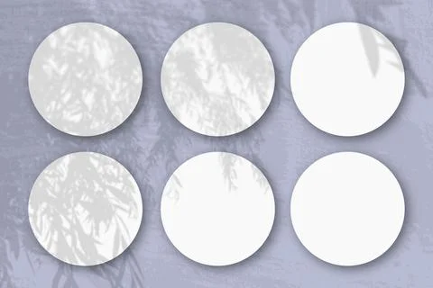 Natural light casts shadows from an willow branch on 6 round sheets of white  Stock Illustration